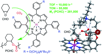 Graphical abstract: Aluminum porphyrins with quaternary ammonium halides as catalysts for copolymerization of cyclohexene oxide and CO2: metal–ligand cooperative catalysis