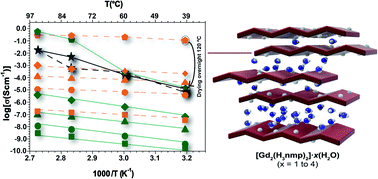 Graphical abstract: Enhanced proton conductivity in a layered coordination polymer