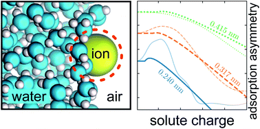 Graphical abstract: Assessing long-range contributions to the charge asymmetry of ion adsorption at the air–water interface