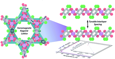 Graphical abstract: Synthetic investigation of competing magnetic interactions in 2D metal–chloranilate radical frameworks