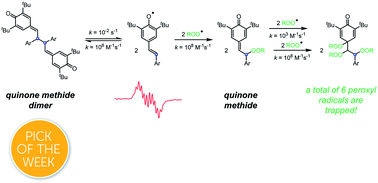 Graphical abstract: Quinone methide dimers lacking labile hydrogen atoms are surprisingly excellent radical-trapping antioxidants