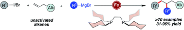 Graphical abstract: Fe-catalyzed three-component dicarbofunctionalization of unactivated alkenes with alkyl halides and Grignard reagents
