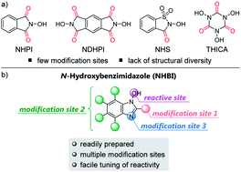 Graphical abstract: N-Hydroxybenzimidazole as a structurally modifiable platform for N-oxyl radicals for direct C–H functionalization reactions