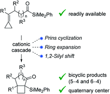 Graphical abstract: Ring-fused cyclobutanes via cycloisomerization of alkylidenecyclopropane acylsilanes