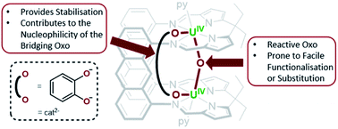 Graphical abstract: Selective oxo ligand functionalisation and substitution reactivity in an oxo/catecholate-bridged UIV/UIV Pacman complex