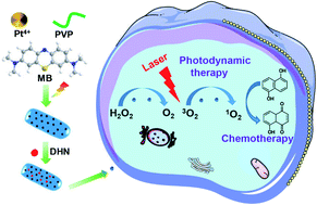 Graphical abstract: Spatiotemporally controlled O2 and singlet oxygen self-sufficient nanophotosensitizers enable the in vivo high-yield synthesis of drugs and efficient hypoxic tumor therapy