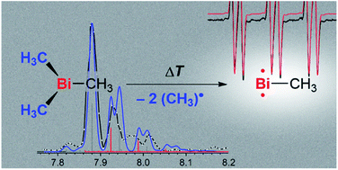 Graphical abstract: Methylbismuth: an organometallic bismuthinidene biradical