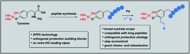 Graphical abstract: Silanol: a bifunctional group for peptide synthesis and late-stage functionalization