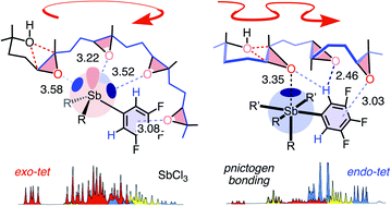 Graphical abstract: Pnictogen-bonding catalysis: brevetoxin-type polyether cyclizations