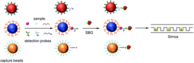 Graphical abstract: Simultaneous detection of small molecules, proteins and microRNAs using single molecule arrays