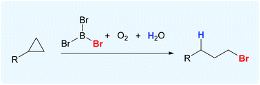 Graphical abstract: Boron tribromide as a reagent for anti-Markovnikov addition of HBr to cyclopropanes