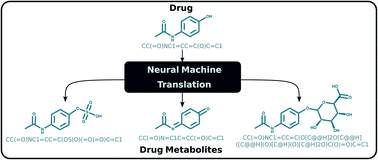 Graphical abstract: Prediction of drug metabolites using neural machine translation