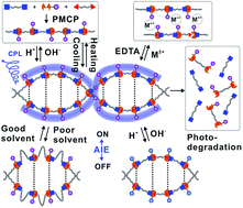 Graphical abstract: A new soft-matter material with old chemistry: Passerini multicomponent polymerization-induced assembly of AIE-active double-helical polymers with rapid visible-light degradability