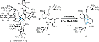 Graphical abstract: Synthesis of the bis(cyclohexenone) core of (−)-lomaiviticin A