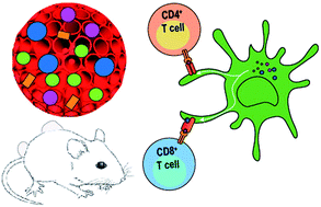 Graphical abstract: Post translational modification-assisted cancer immunotherapy for effective breast cancer treatment