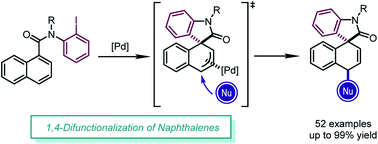 Graphical abstract: Palladium-catalyzed dearomative 1,4-difunctionalization of naphthalenes
