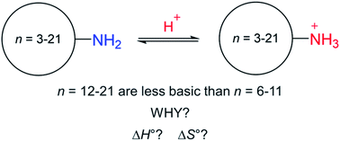 Graphical abstract: Enthalpic and entropic contributions to the basicity of cycloalkylamines