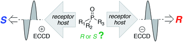 Graphical abstract: A chiroptical approach for the absolute stereochemical determination of P-stereogenic centers