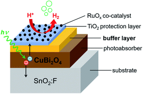 Graphical abstract: Revealing the relationship between photoelectrochemical performance and interface hole trapping in CuBi2O4 heterojunction photoelectrodes