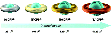 Graphical abstract: Structural deformation and host–guest properties of doubly-reduced cycloparaphenylenes, [n]CPPs2− (n = 6, 8, 10, and 12)