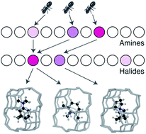 Graphical abstract: Multi-objective de novo molecular design of organic structure-directing agents for zeolites using nature-inspired ant colony optimization