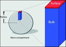 Graphical abstract: A kinetic description of how interfaces accelerate reactions in micro-compartments