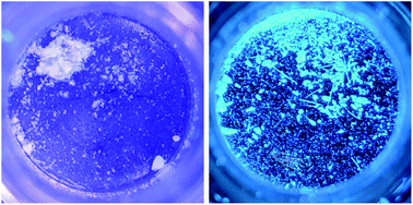 Graphical abstract: Seeing luminescence appear as crystals crumble. Isolation and subsequent self-association of individual [(C6H11NC)2Au]+ ions in crystals