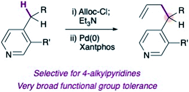 Graphical abstract: Pyridylic anions are soft nucleophiles in the palladium-catalyzed C(sp3)–H allylation of 4-alkylpyridines