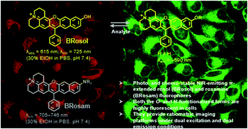 Graphical abstract: Development of photo- and chemo-stable near-infrared-emitting dyes: linear-shape benzo-rosol and its derivatives as unique ratiometric bioimaging platforms
