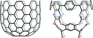 Graphical abstract: Tubularenes