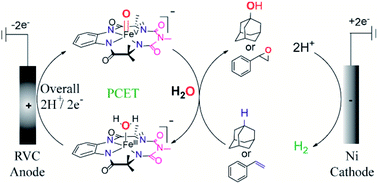 Graphical abstract: Oxoiron(v) mediated selective electrochemical oxygenation of unactivated C–H and C [[double bond, length as m-dash]] C bonds using water as the oxygen source