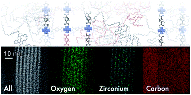 Graphical abstract: Inside polyMOFs: layered structures in polymer-based metal–organic frameworks