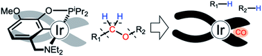 Graphical abstract: Decarbonylative ether dissection by iridium pincer complexes