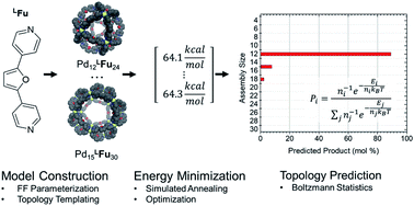 Graphical abstract: Topological prediction of palladium coordination cages