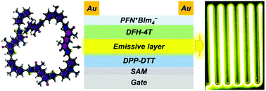 Graphical abstract: Foldable semi-ladder polymers: novel aggregation behavior and high-performance solution-processed organic light-emitting transistors