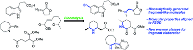 Graphical abstract: Is it time for biocatalysis in fragment-based drug discovery?