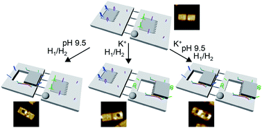 Graphical abstract: Programmed catalysis within stimuli-responsive mechanically unlocked nanocavities in DNA origami tiles