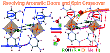 Graphical abstract: Reversible guest-induced gate-opening with multiplex spin crossover responses in two-dimensional Hofmann clathrates