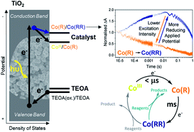 Graphical abstract: Charge accumulation kinetics in multi-redox molecular catalysts immobilised on TiO2