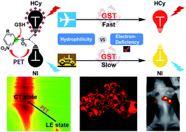 Graphical abstract: A fluorophore's electron-deficiency does matter in designing high-performance near-infrared fluorescent probes