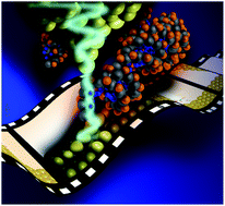 Graphical abstract: Elementary processes of DNA surface hybridization resolved by single-molecule kinetics: implication for macroscopic device performance