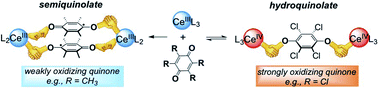 Graphical abstract: Cerium–quinone redox couples put under scrutiny