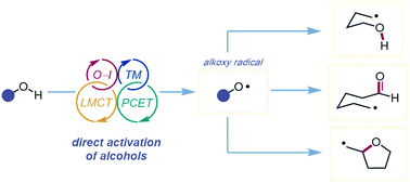 Graphical abstract: Catalytic generation of alkoxy radicals from unfunctionalized alcohols