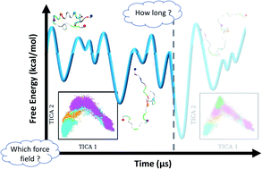 Graphical abstract: Thermodynamics and kinetics of the amyloid-β peptide revealed by Markov state models based on MD data in agreement with experiment