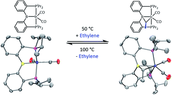 Graphical abstract: Reversible addition of ethylene to a pincer-based boryl-iridium unit with the formation of a bridging ethylidene