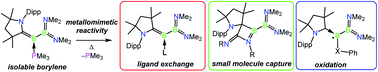 Graphical abstract: Phosphinoborylenes as stable sources of fleeting borylenes