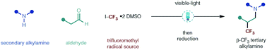 Graphical abstract: Visible-light mediated carbonyl trifluoromethylative amination as a practical method for the synthesis of β-trifluoromethyl tertiary alkylamines