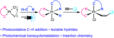 Graphical abstract: Visible light driven generation and alkyne insertion reactions of stable bis-cyclometalated Pt(iv) hydrides