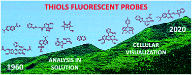 Graphical abstract: The chronological evolution of small organic molecular fluorescent probes for thiols