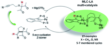 Graphical abstract: Metal–ligand–Lewis acid multi-cooperative catalysis: a step forward in the Conia-ene reaction